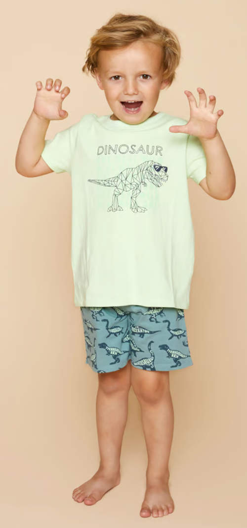 Dětské pyžamo dinosaurus šortky a krátký rukáv